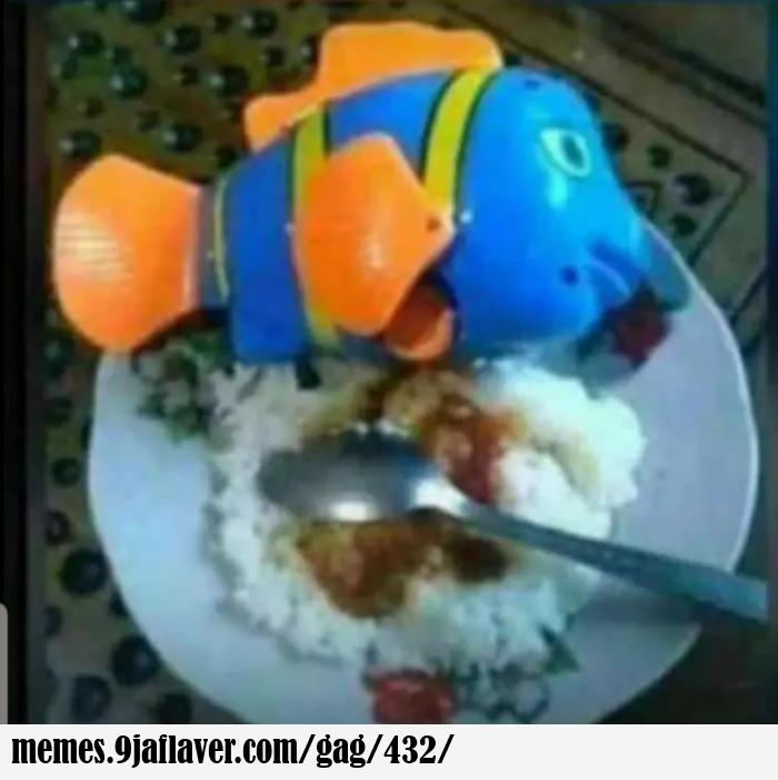 Rice and fish, well served...