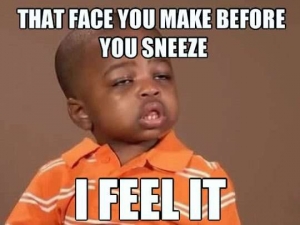 The Face You Make Before You Sneeze... Lolz