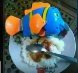Rice and fish, well served...